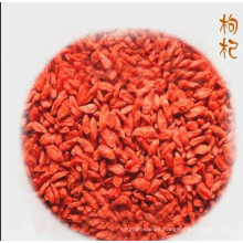 NUEVA BAYA DE NINGXIA GOJI